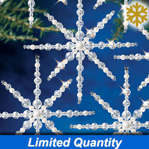 Winter Wonder Lane Silver Glitter Snowflakes, 2-Pack